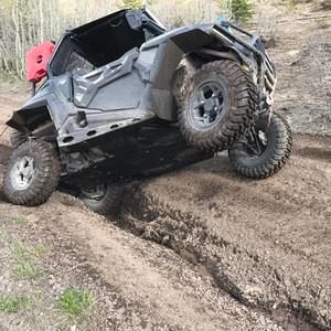 Meet your Posher, Paul